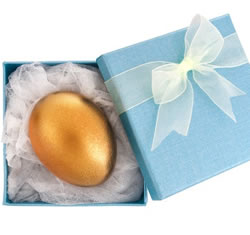 golden nest egg