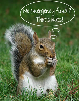 Squirrel thinking "No emergency fund? That's nuts!"