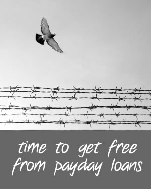 bird flying over barbed wire - time to get free from payday loans