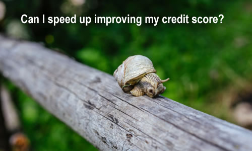 snail slowly moving along a long branch - can you speed up improving your credit score?