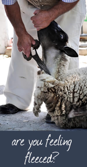 Are you being fleeced in your IVA, like this sheep being sheared?