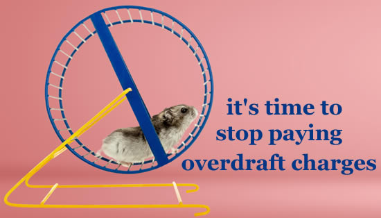 Hamster running round in a wheel. Does your bank account feel like this? Is it time to get off the wheel and stop paying overdraft charges?