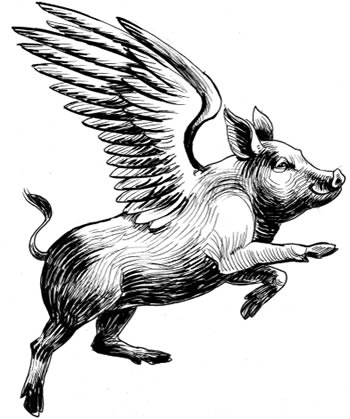 A flying pig - my first thought when I heard the Money Shop said it would be likely to pay 80% of refunds