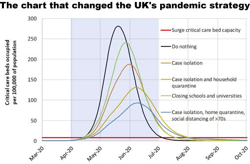 The chart that changed the UK's pandemic strategy, showing how deman for critical care beds was modeled to outstrip supply in various scenarios
