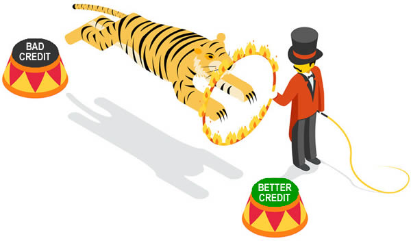 Tiger being made to jump through a small hoop on fire - it's like trying to improve your credit rating